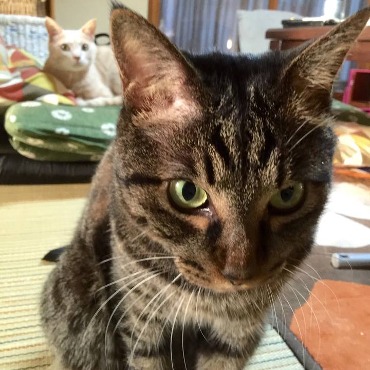 6f734c65 cecc 439d ac5f 93a5cee99806