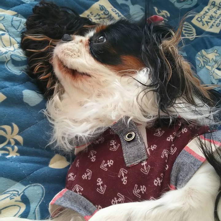 6f73d867 5810 4262 8710 96d5d7e692cb