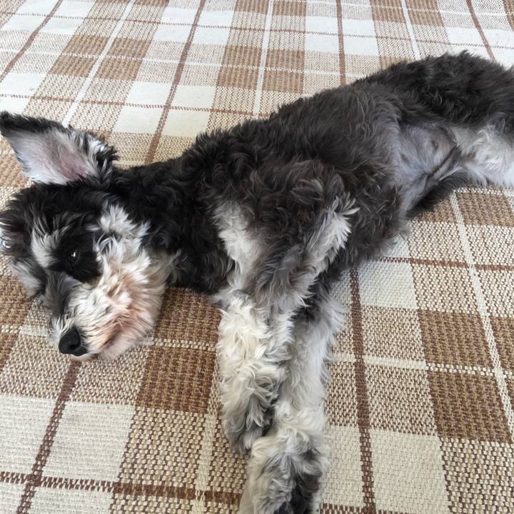 6f74011a ea52 4db2 ba24 522384f62c07