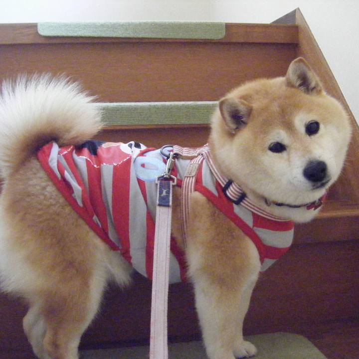 6f74099f 1398 463e b1b9 fb45afb351b3