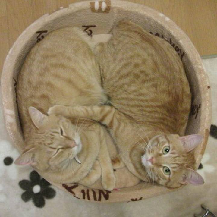 6f74ba35 8005 45cd 85d6 e1d64c3ee937