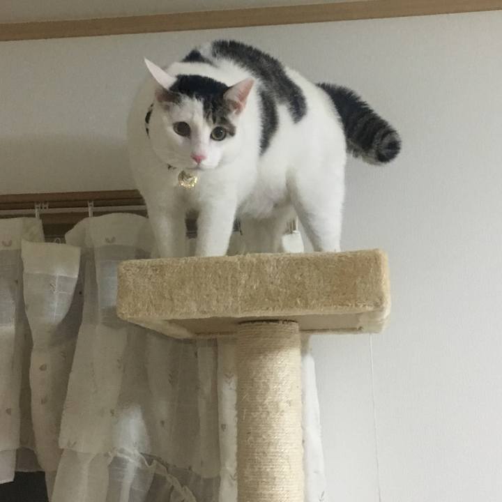 6f74cd1b b873 4c65 8332 1db80fb598ed