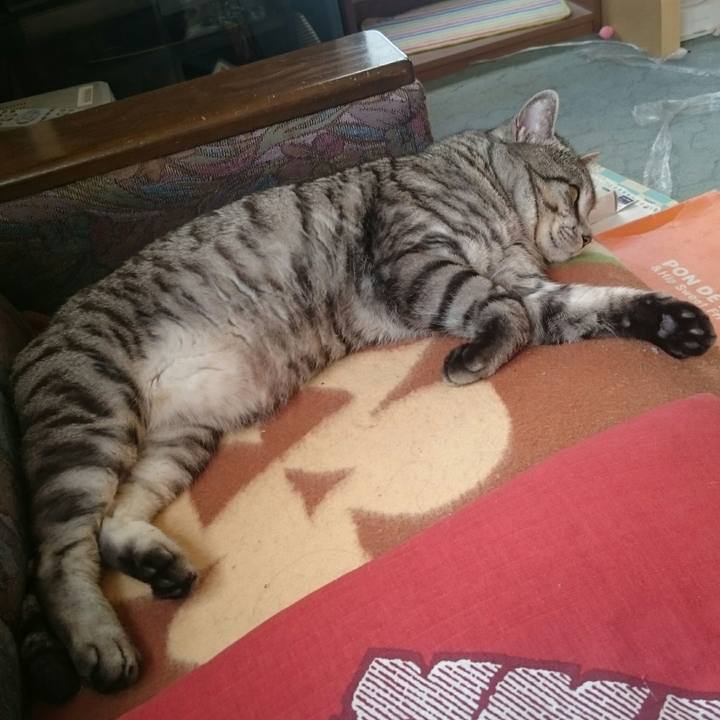 6f74da65 b951 4c4d a2f4 cc8c277c1c4e