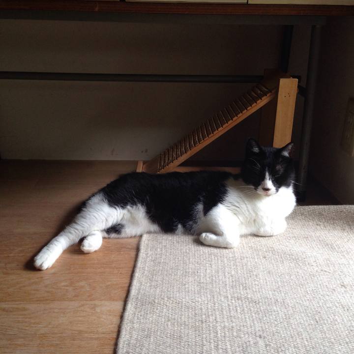 6f7515b9 3fe5 4623 b3f1 24d001d2cb7f