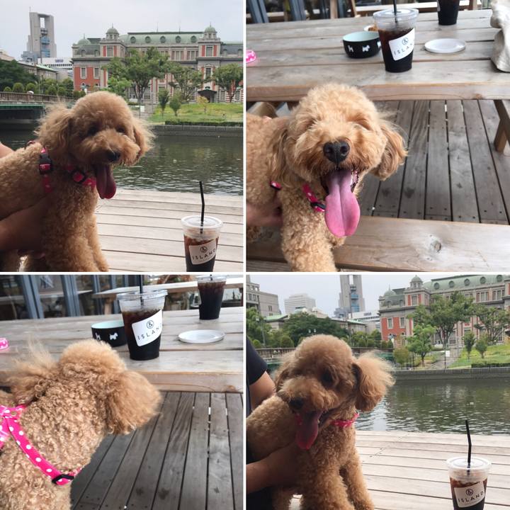 6f7540f6 2587 4e74 8394 e636cea62975