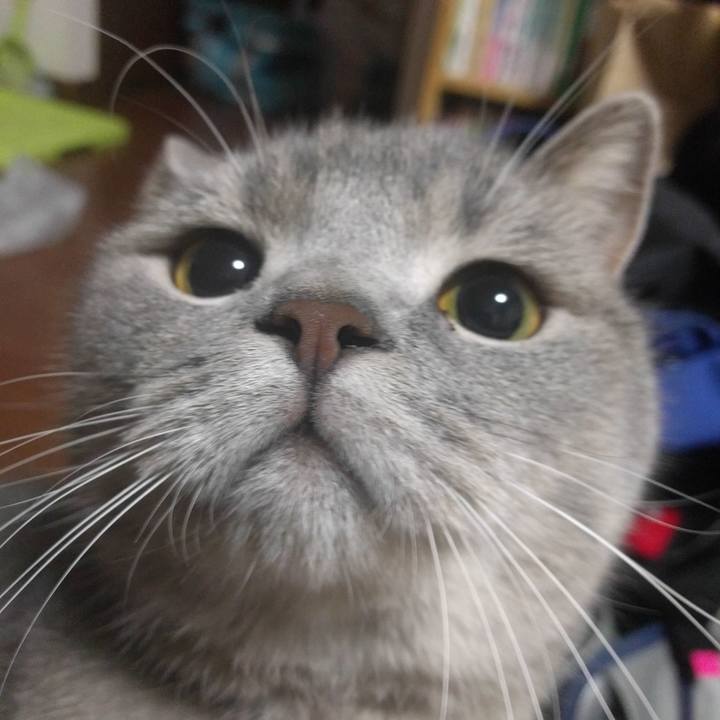 6f754df3 b640 4a60 99b0 24361a8652ad