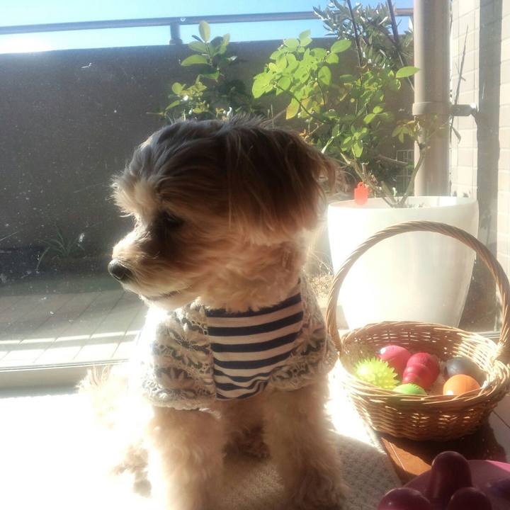 6f755a73 4f56 4b46 b3a0 1f36baf446a0