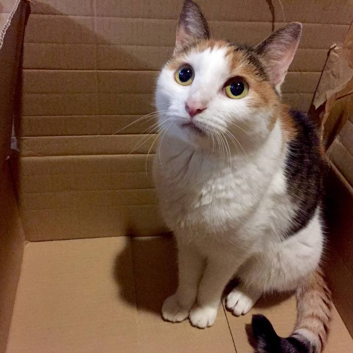 6f75a2cd e67f 4d7d b463 8a0b18c937f3