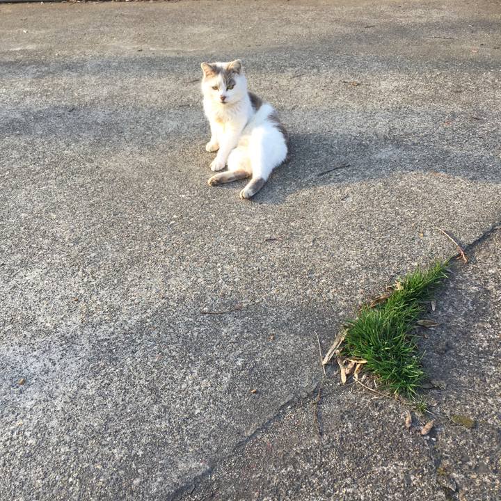 6f75b5bb 0b92 4dc6 af17 0d0b27668e54