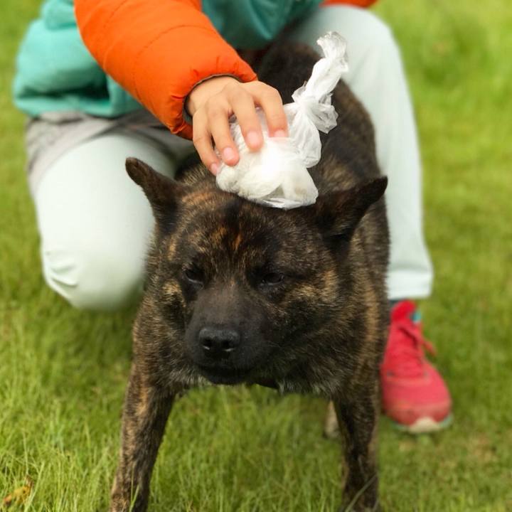 6f7603c5 78ba 4d12 869d 0db821b69839