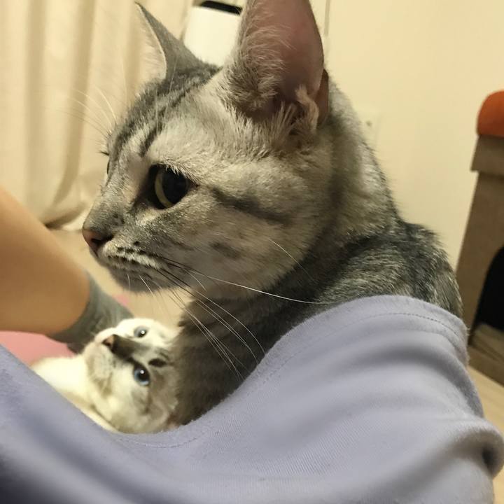 6f768a05 dee0 4d04 b9ee 15dc36c38413