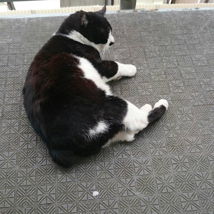 6f7749bf 6f25 443b 899e 749f14d20d61