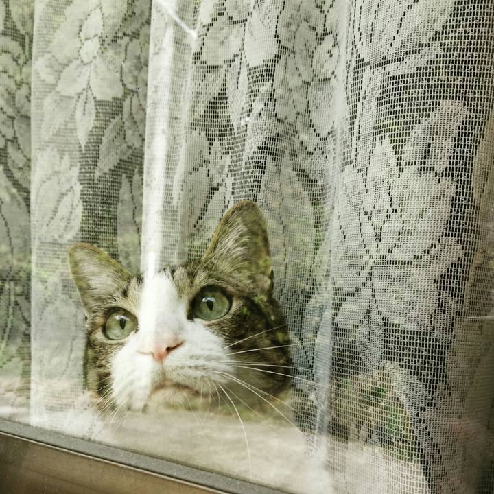 6f77969b e6f2 4181 9f6c c5dbfc1bc864