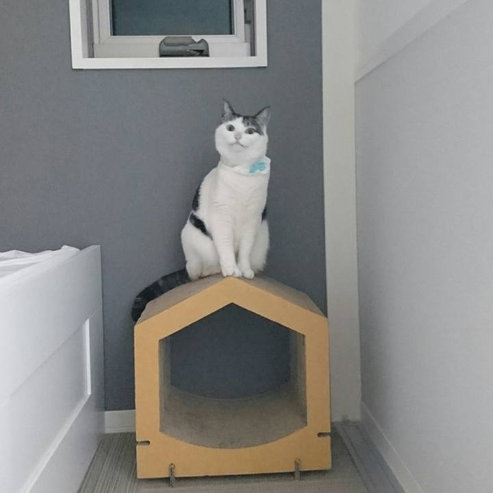 6f77b874 94cb 4e36 9454 032bd0d1b987