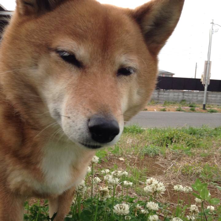 6f77bd2c d040 41b7 841a c7c30b963e04