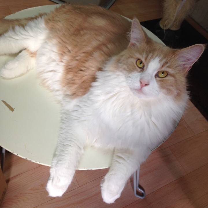 6f78305b abb8 40b2 aefc e2ba7ea3bdc2