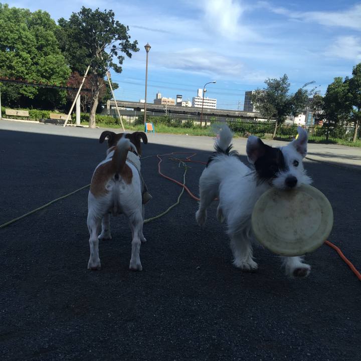 6f7890a0 4a0d 4fec 982f 2dc569e3f7b6