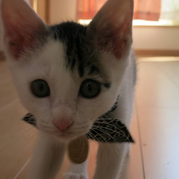 6f790f79 28c7 4f63 a27f aabcbced24a8