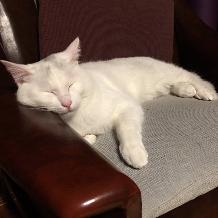 6f79bedb 8329 4d2f b7f7 b0db2c520a51