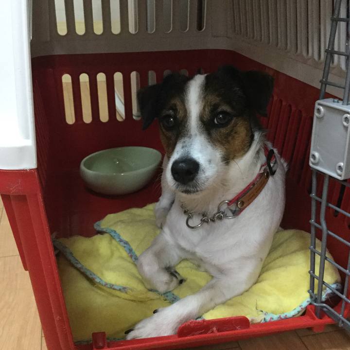 6f7a8fdb 7b38 4fc2 902d 1d144c97e315