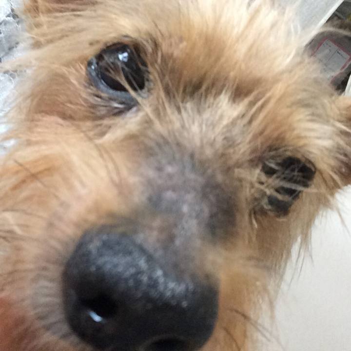 6f7aaff1 bb13 425d a127 3c38f8e215a8