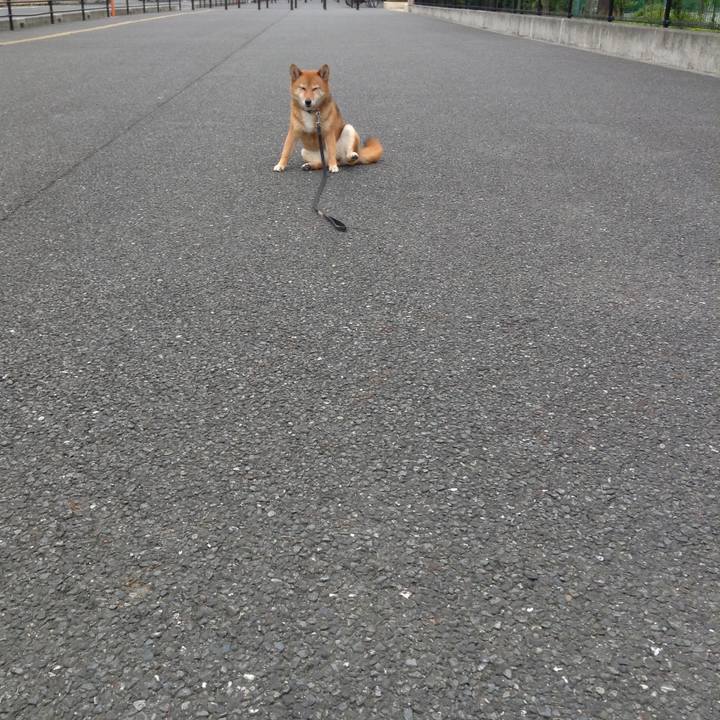 6f7ad553 55a8 4baf bacc 8828200e7aeb