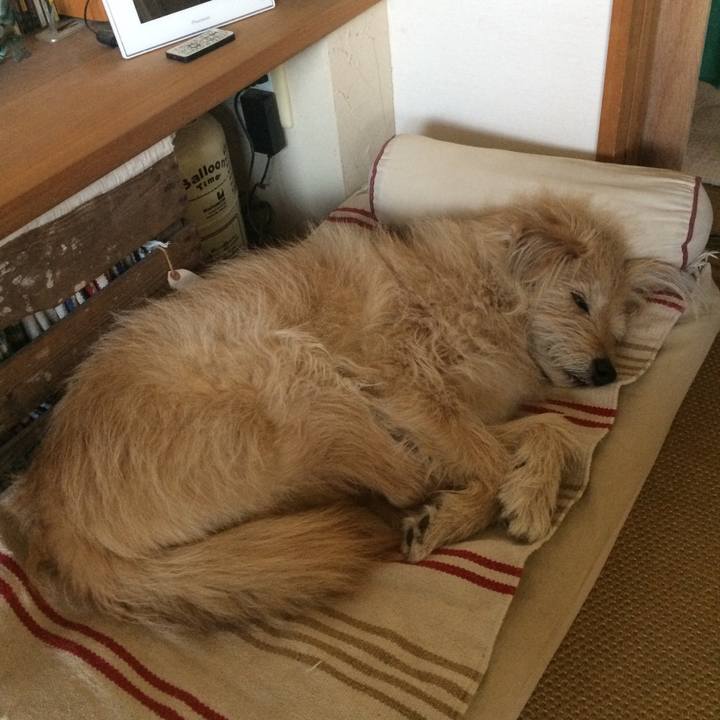 6f7b27cb 8bf7 4887 821c e7540f7051cc