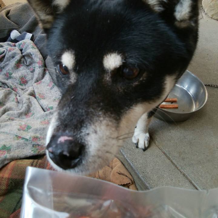 6f7bb90e a706 43f6 9ec9 835d209d26eb