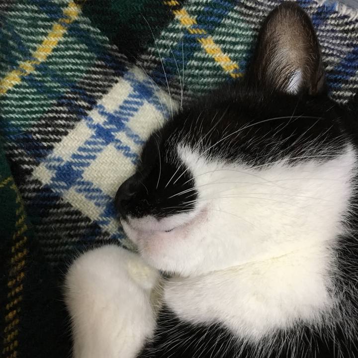 6f7d1935 928e 48f8 8d63 4acf210831be