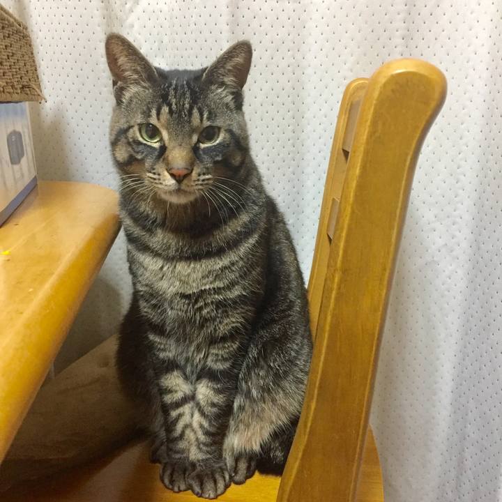 6f7d5146 b103 4eaf 821a cf035c2fc0e5