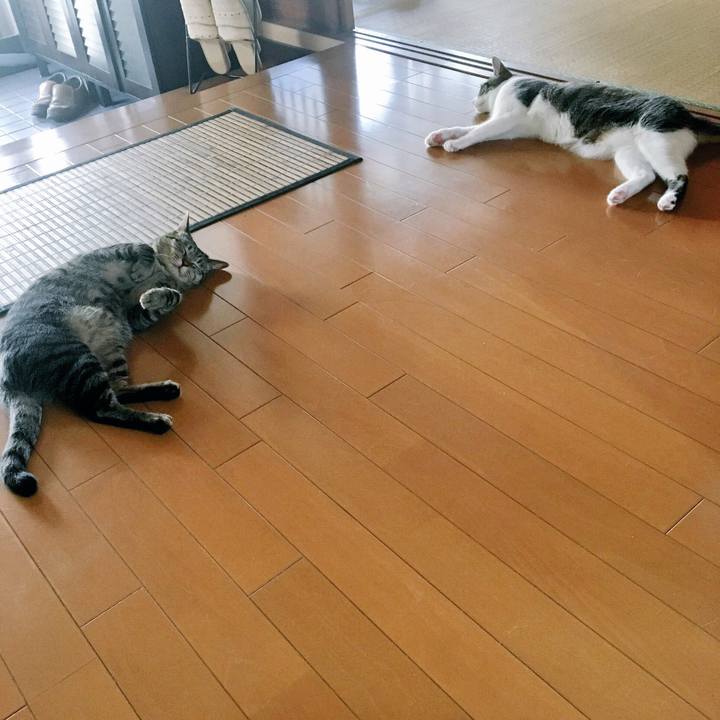 6f7d63b6 5b92 46da 9bd1 701172b4b20b