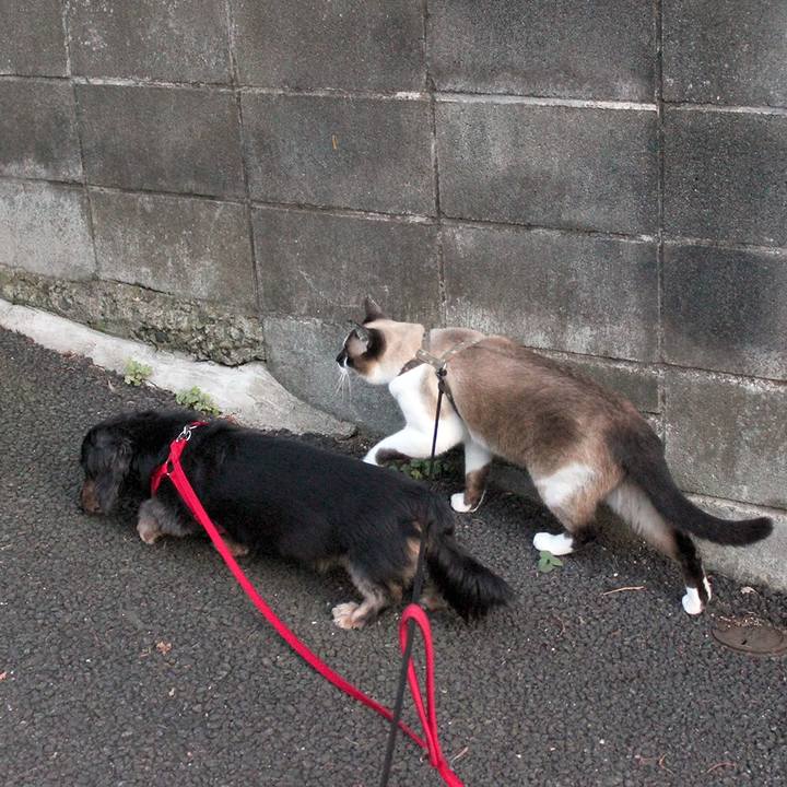 6f7d901f ff79 4fd2 9281 5bd60712fed1