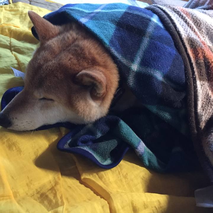 6f7d94b3 9eee 4267 be3c 24ff213eca74