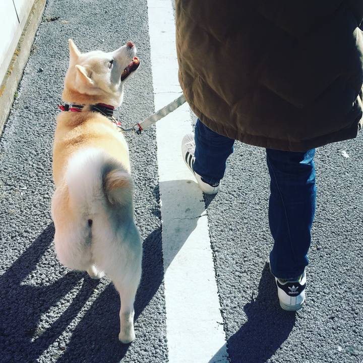 6f7da18c 36fd 4d22 91b7 7385f2f606e3