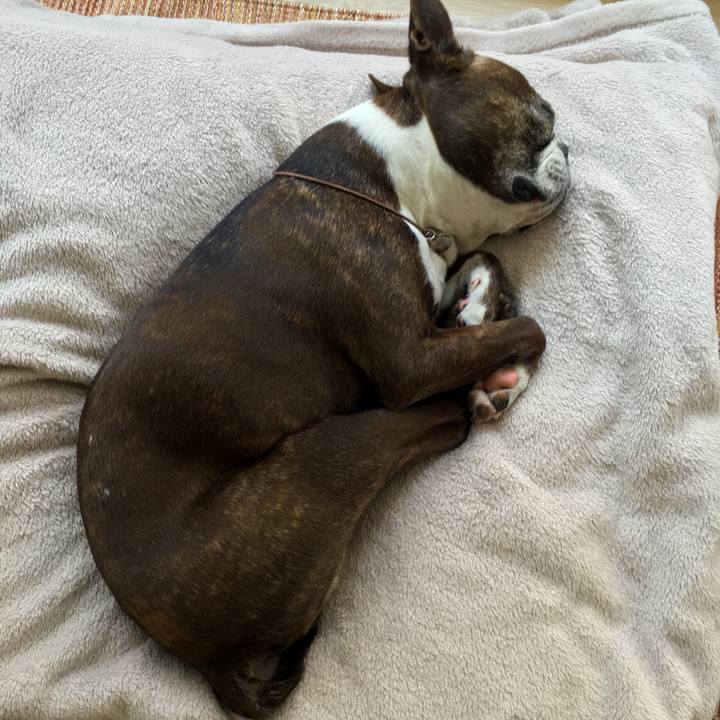 6f7dcb90 43ea 40b2 825a 57d10837dbce