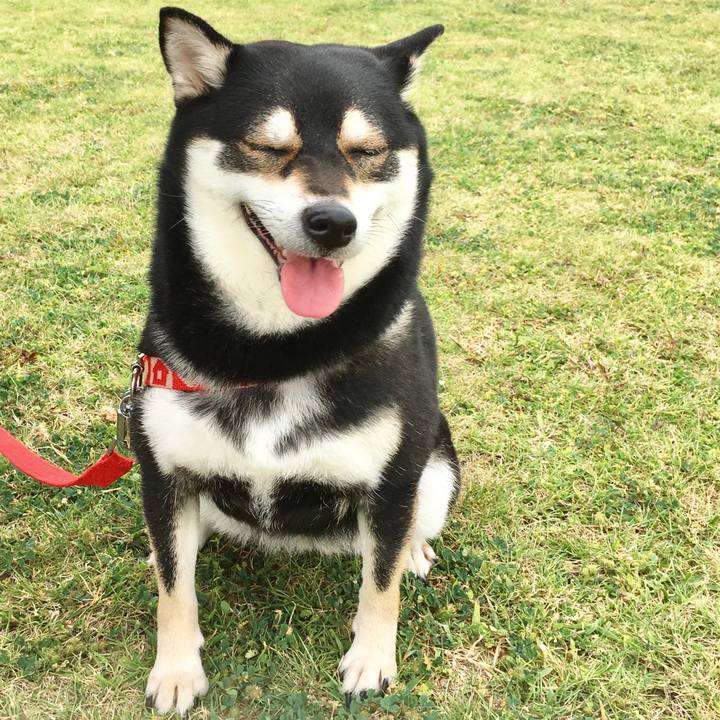 6f7e446b 43e9 4190 b6d8 9df70a1ef634