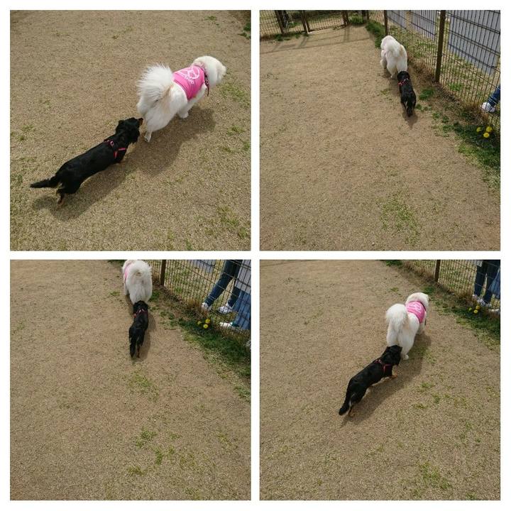 6f7efeaf ced1 4d40 abff 3cb60340a629