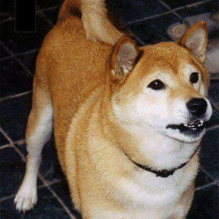 6f7f8cc6 7e06 4e1e bcbd f556cadc5e74