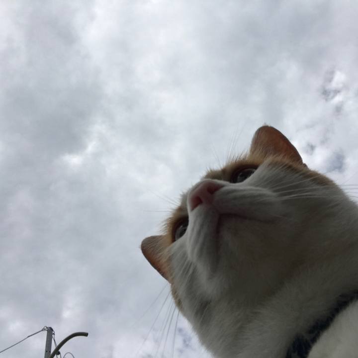 6f7fbeaf 757f 48cd a4a8 01de79b43e24