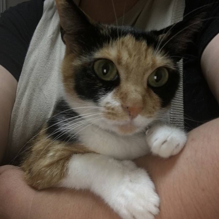 6f7fc1dc af73 4a61 9cc4 73791b88eed5