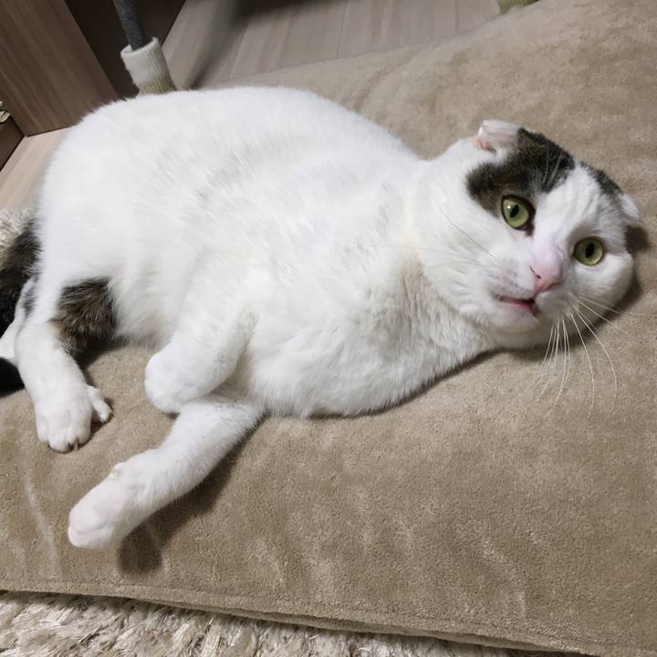 6f7fe394 5ed4 4f4d b9d2 dca4ede9dc1e