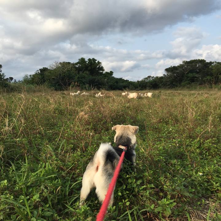 6f80075a 2a17 431d 8df5 b3d848efff38