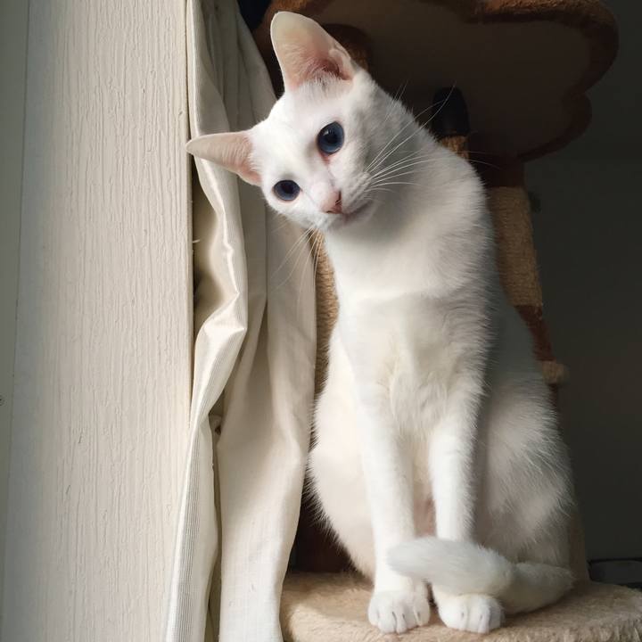 6f81325a 9ead 4a97 9a6f ce9b5e8ae13b