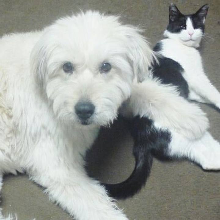 6f813547 5d11 4261 a7e8 30d1c05cdecc