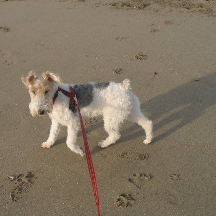 6f8141a7 94f7 4bf1 be1c 67f11232b90d