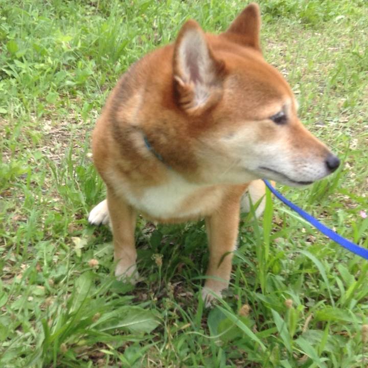 6f8224e9 c5c2 47cd af07 ac9f65722e11