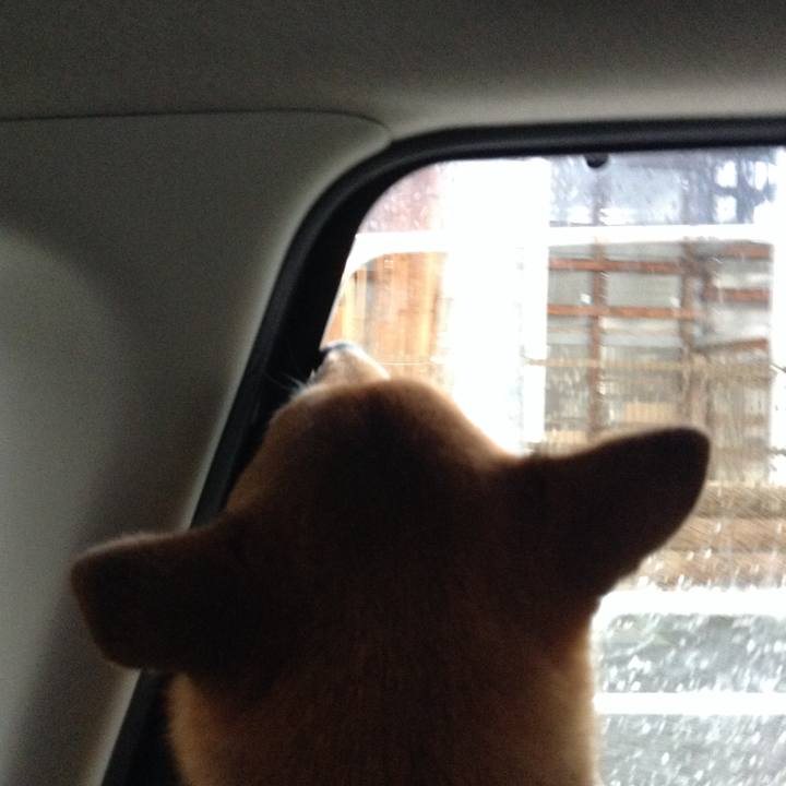 6f828cb4 b796 430a 96ad 820e5636bd45