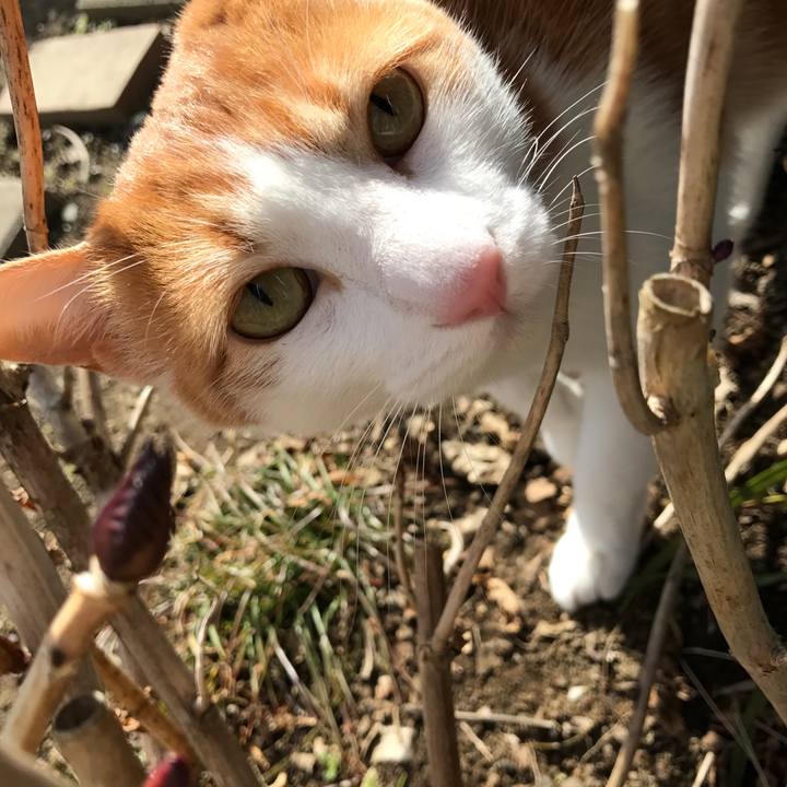 6f82da8d 09c2 44c0 9039 21ab2539bc12