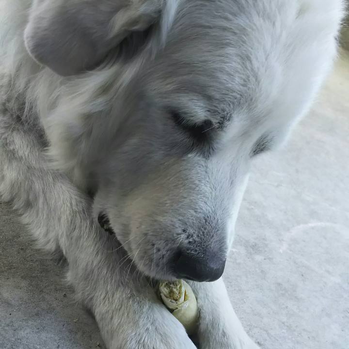 6f82dca3 84a3 463b bba3 3c739a9fd6d1