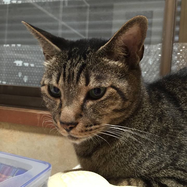 6f82e157 73da 4a1d 9b49 10ddc9e126a7